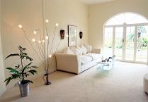 Carpet, Carpet Cleaning